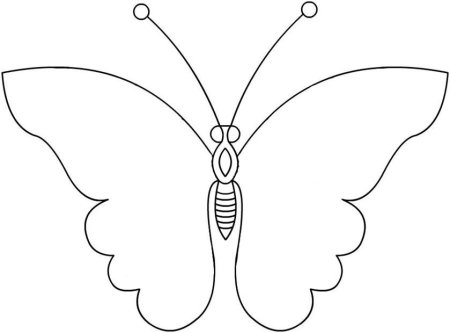 Узоры на крыльях бабочки