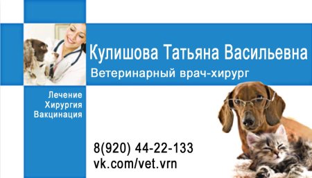 Визитки для ветеринара