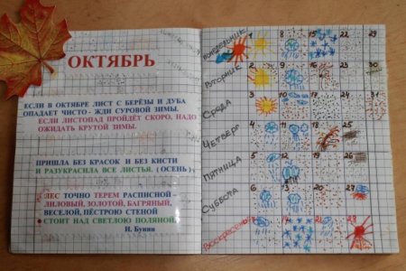 Дневник погоды школьника на месяц