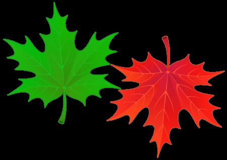 Осень цветные листья