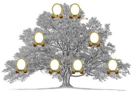 Генеалогическое дерево восемь человек