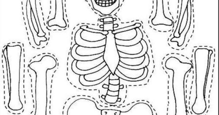 Скелет для костюма кощея бессмертного