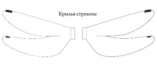 Шаблон крыльев Стрекозы из бумаги