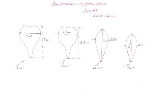 Выкройки лепестков цветов