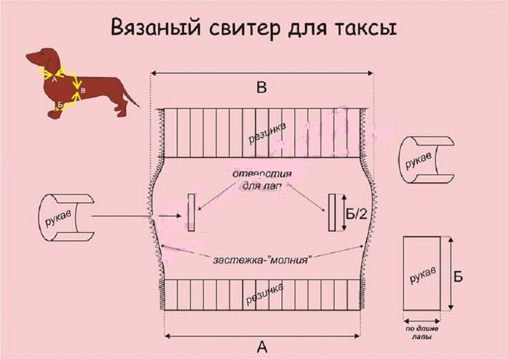 Как связать собаке свитер спицами (для начинающих)