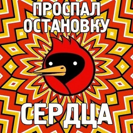 Омская птица