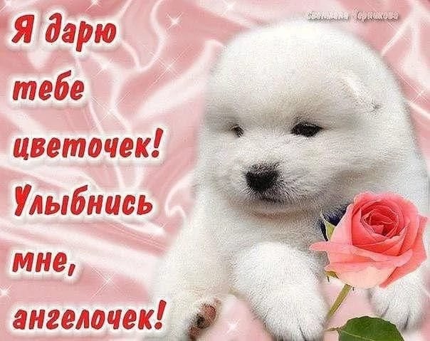 Открытка улыбнись
