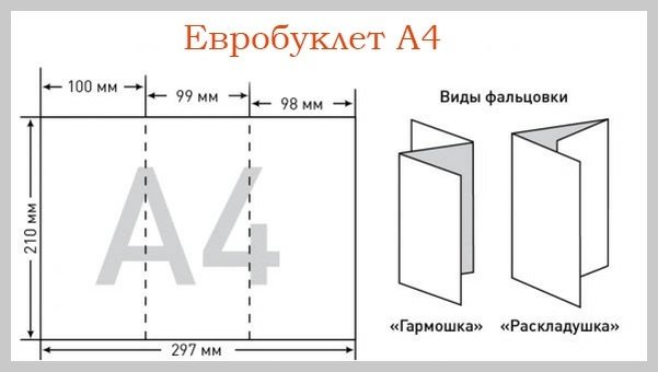 Размер евробуклета