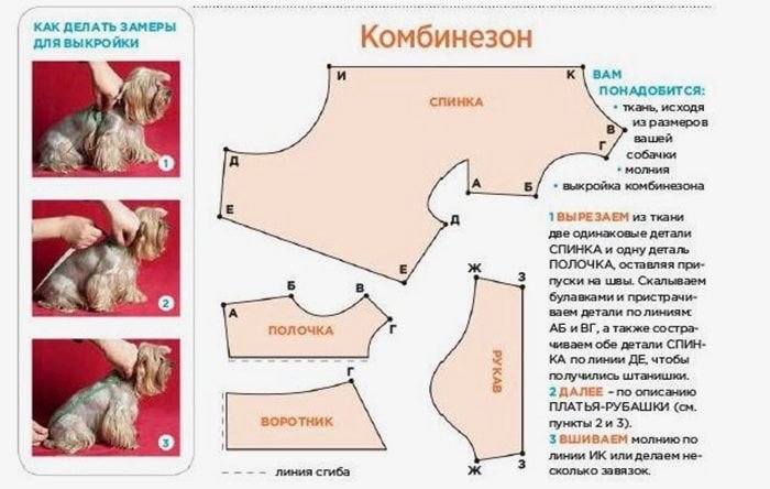 Изготавливаем одежду для собак дома