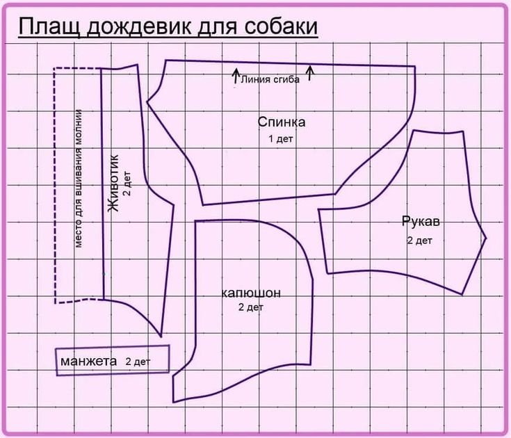 Как сшить комбинезон для собаки?