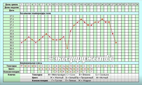 График измерения базальной температуры при овуляции