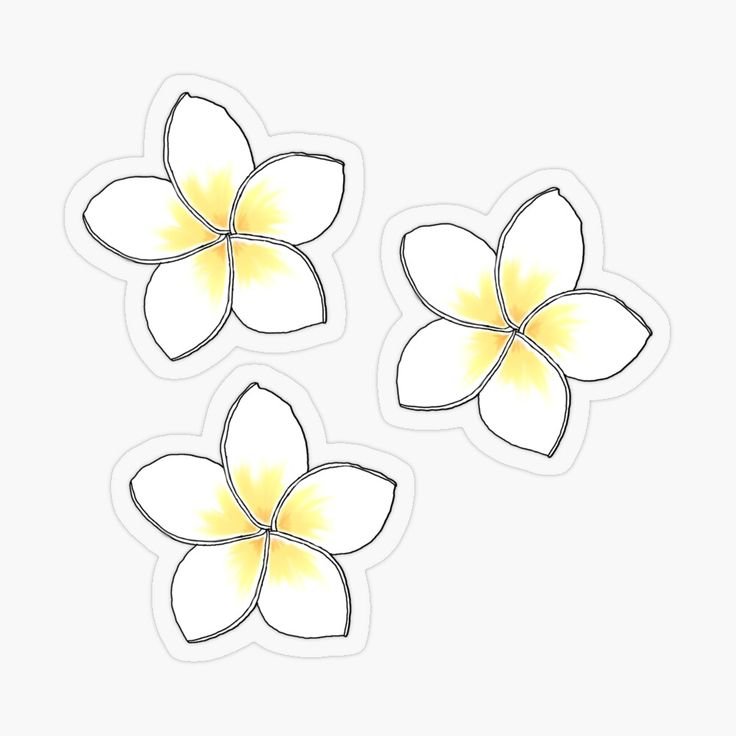 Плюмерия шаблон лепестков