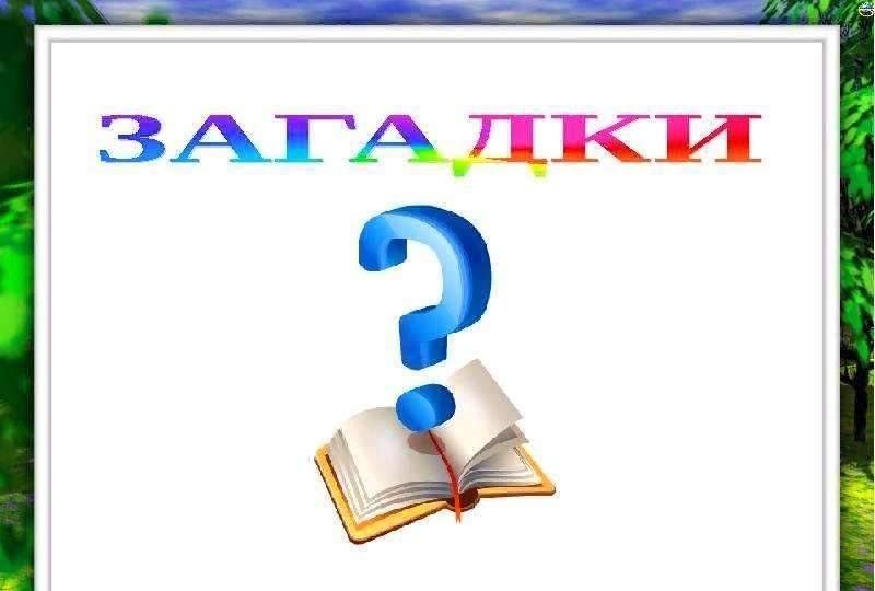 Надписи загадки