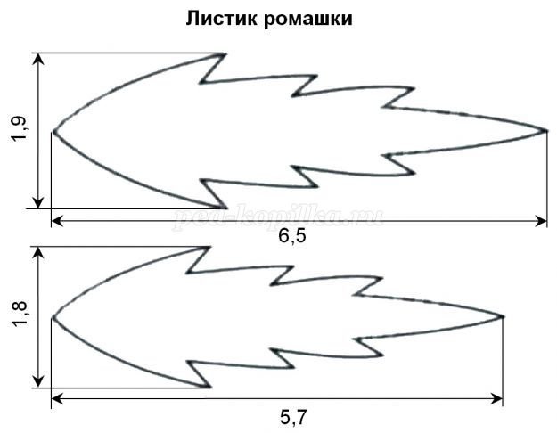 Трафарет листика ромашки