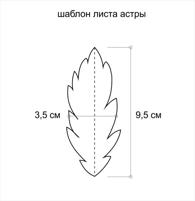 Трафареты листиков для цветов