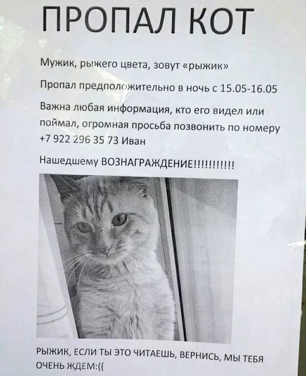 Объявление о пропаже кота