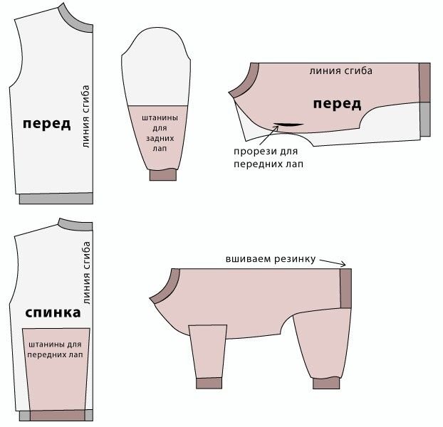 Как выбрать одежду для джек рассел терьера