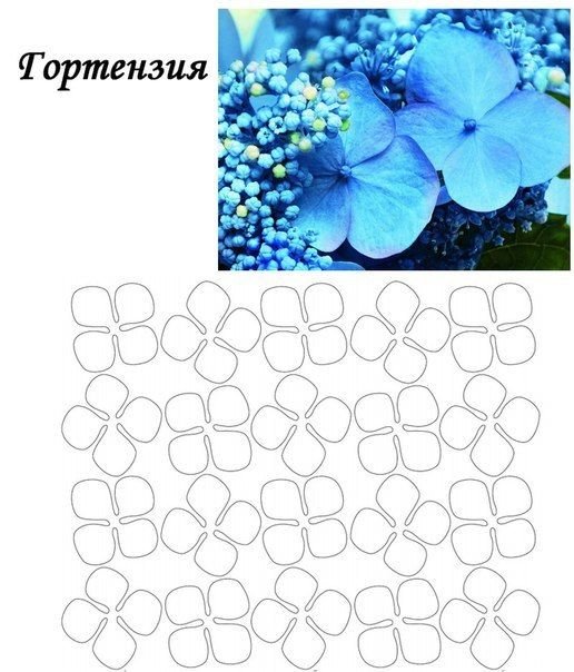 Трафарет цветка гортензии