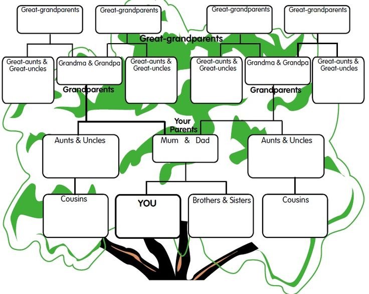 Генеалогическое Древо Family Tree