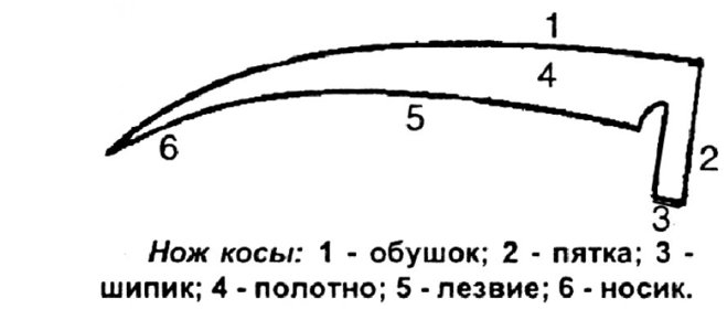 Литовка коса рисунок