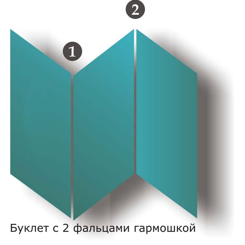 Буклет гармошка 3 фальца