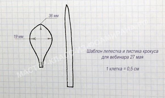 Цветка крокус