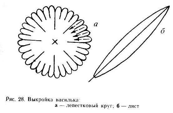 лепестки астры