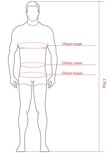 Замеры мужской фигуры для одежды