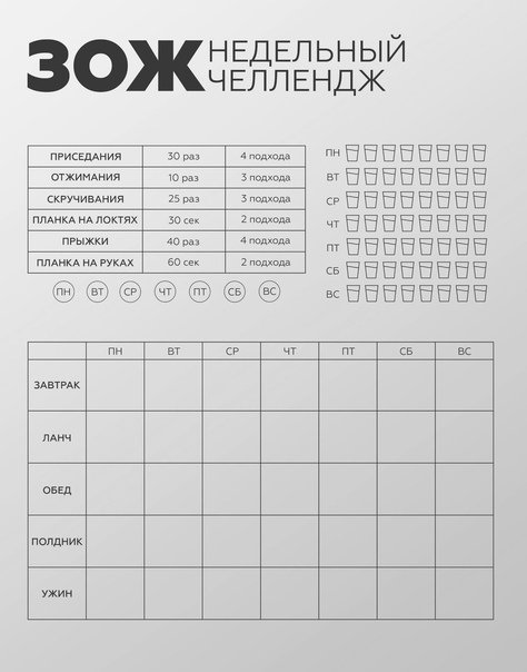 Календарь тренировок