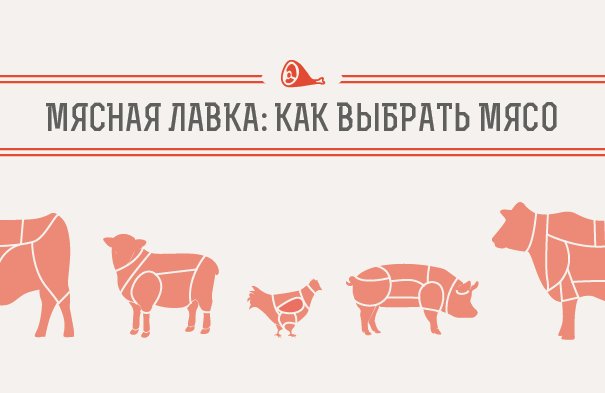 визитки мясо