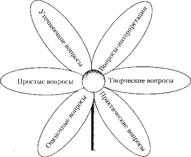 Ромашка Блума пустая