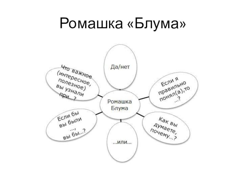Ромашка Блума вопросы