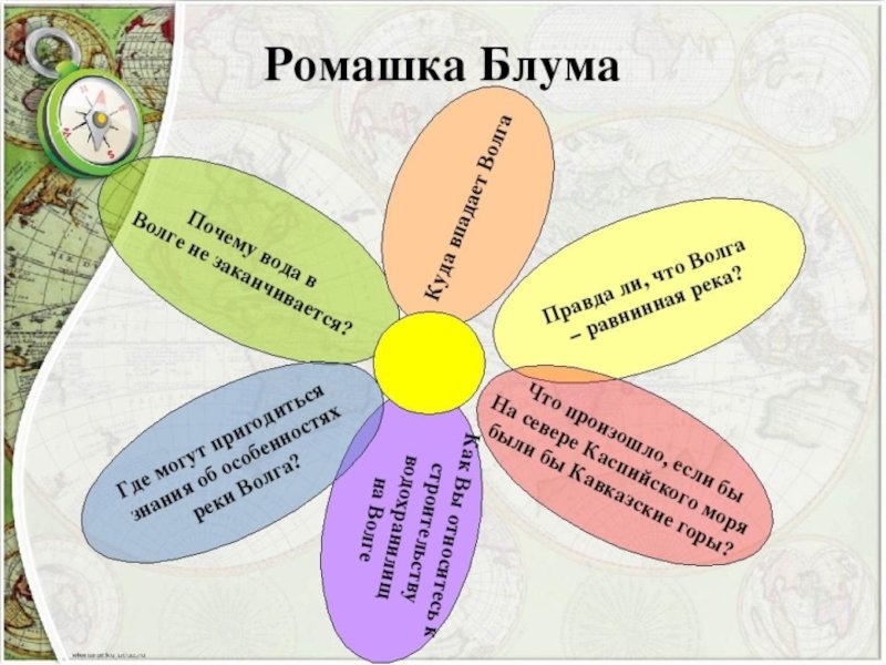 Ромашка Блума вопросы