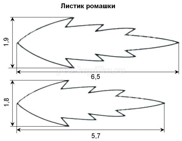 Листья ромашки для вырезания
