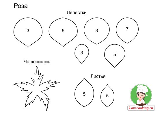 Лепесток розы трафарет