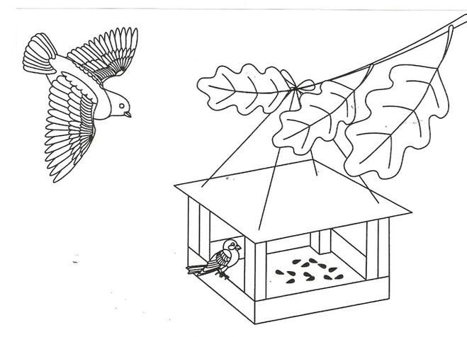 Кормушка для Птиц Раскраска купить на OZON по низкой цене