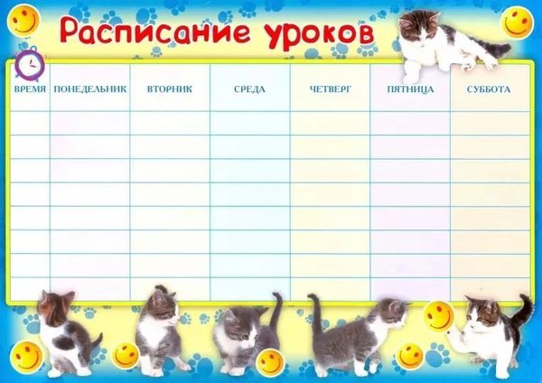 котики расписание