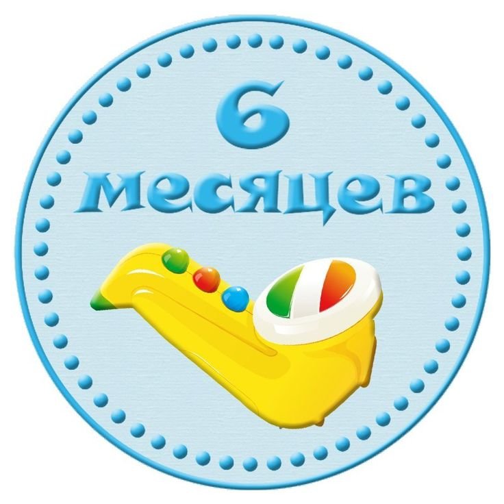 шесть месяцев