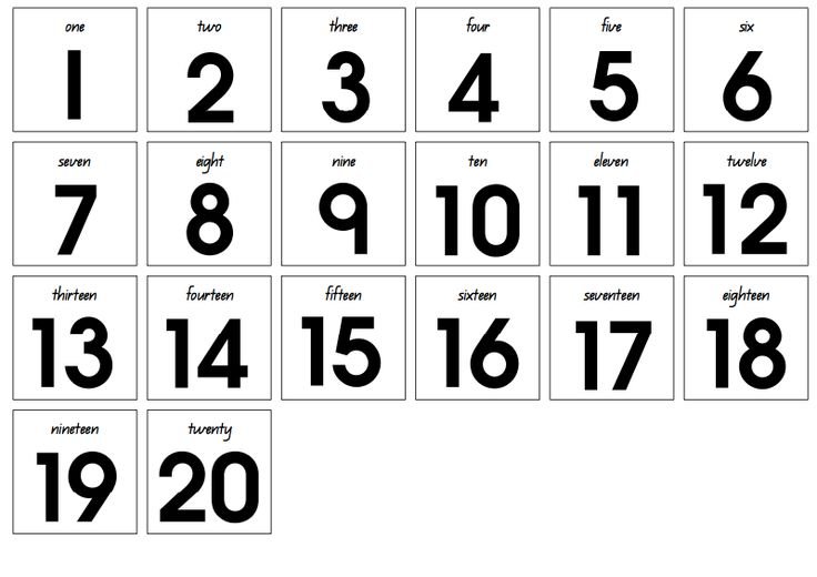  24 