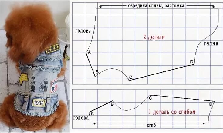 Онлайн выкройка одежды для собак