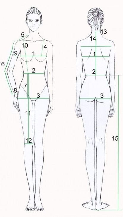 Снятие мерок с женской фигуры
