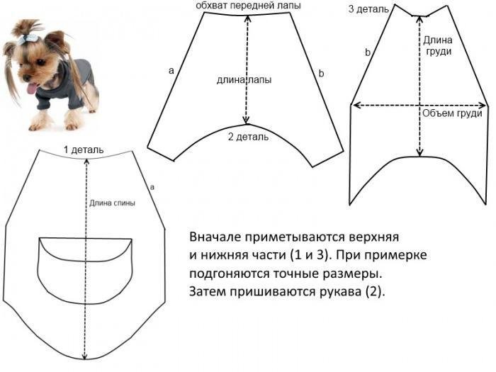 Выкройка комбинезона для щенка йоркширского терьера