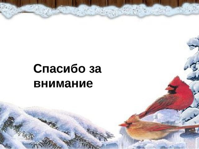 Рамки зимующие птицы