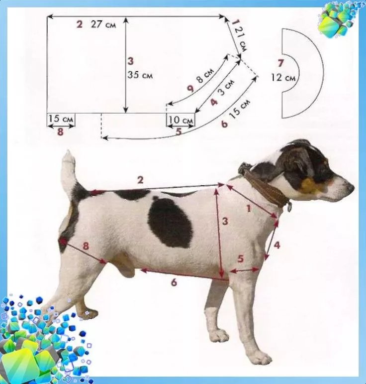 Выкройка на собаку комбинезон Джек Рассел терьер