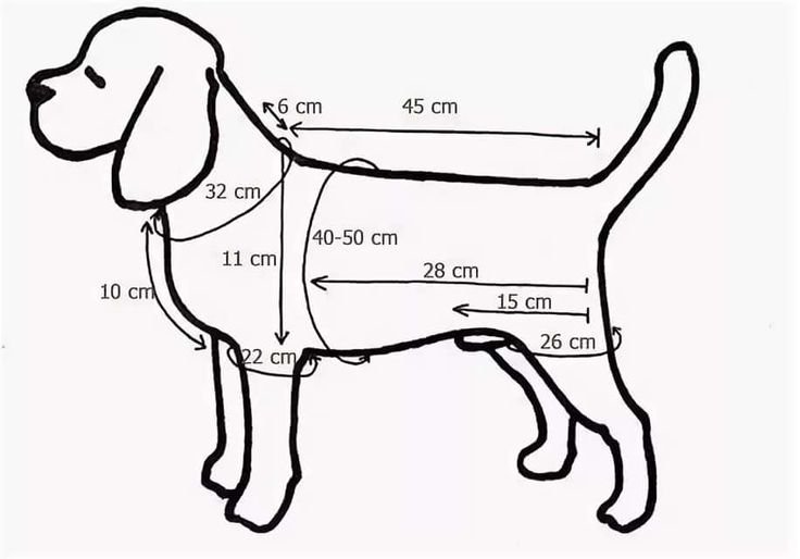 Выкройки одежды для собак Бигль