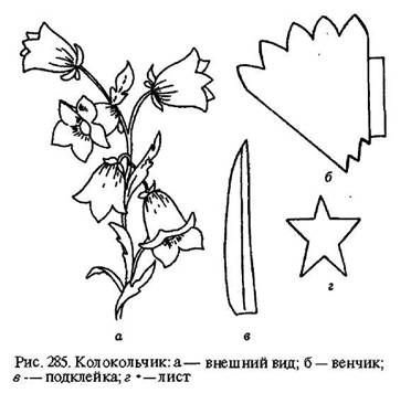 Макет цветка колокольчика