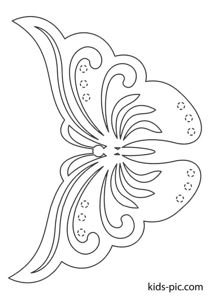  29 