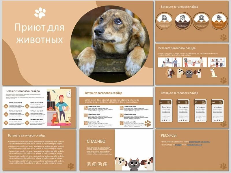 Приют для животных структура
