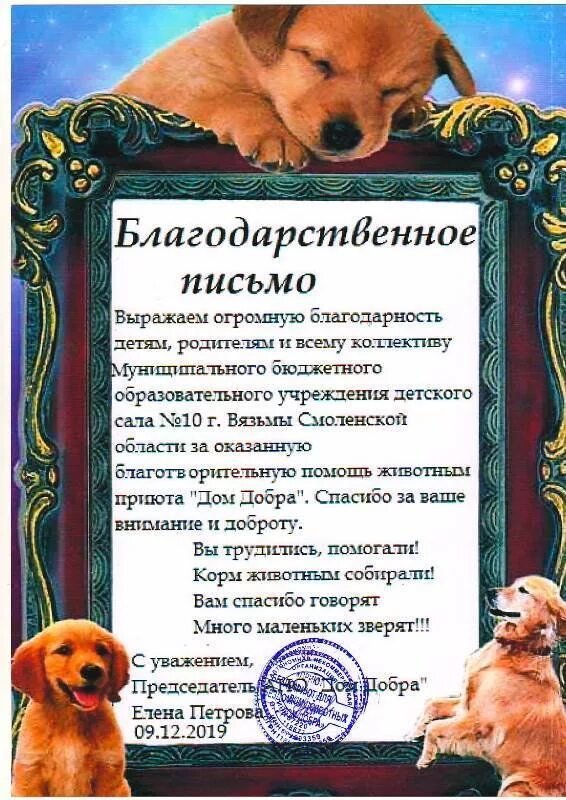 Благодарность от приюта для животных