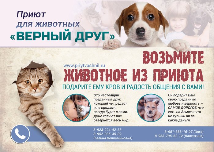 Реклама приюта для животных